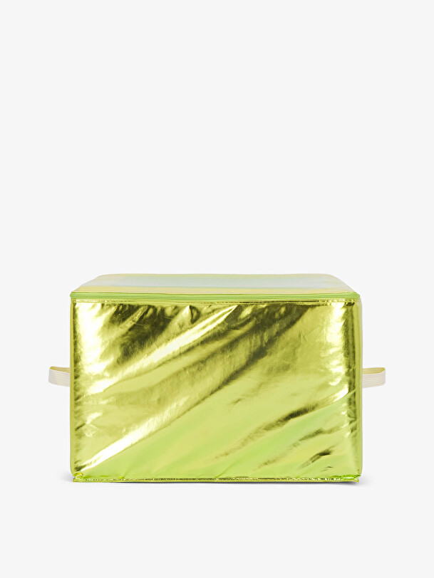 HOUSE CASE SHINY L  Vert , Maison Bensimon