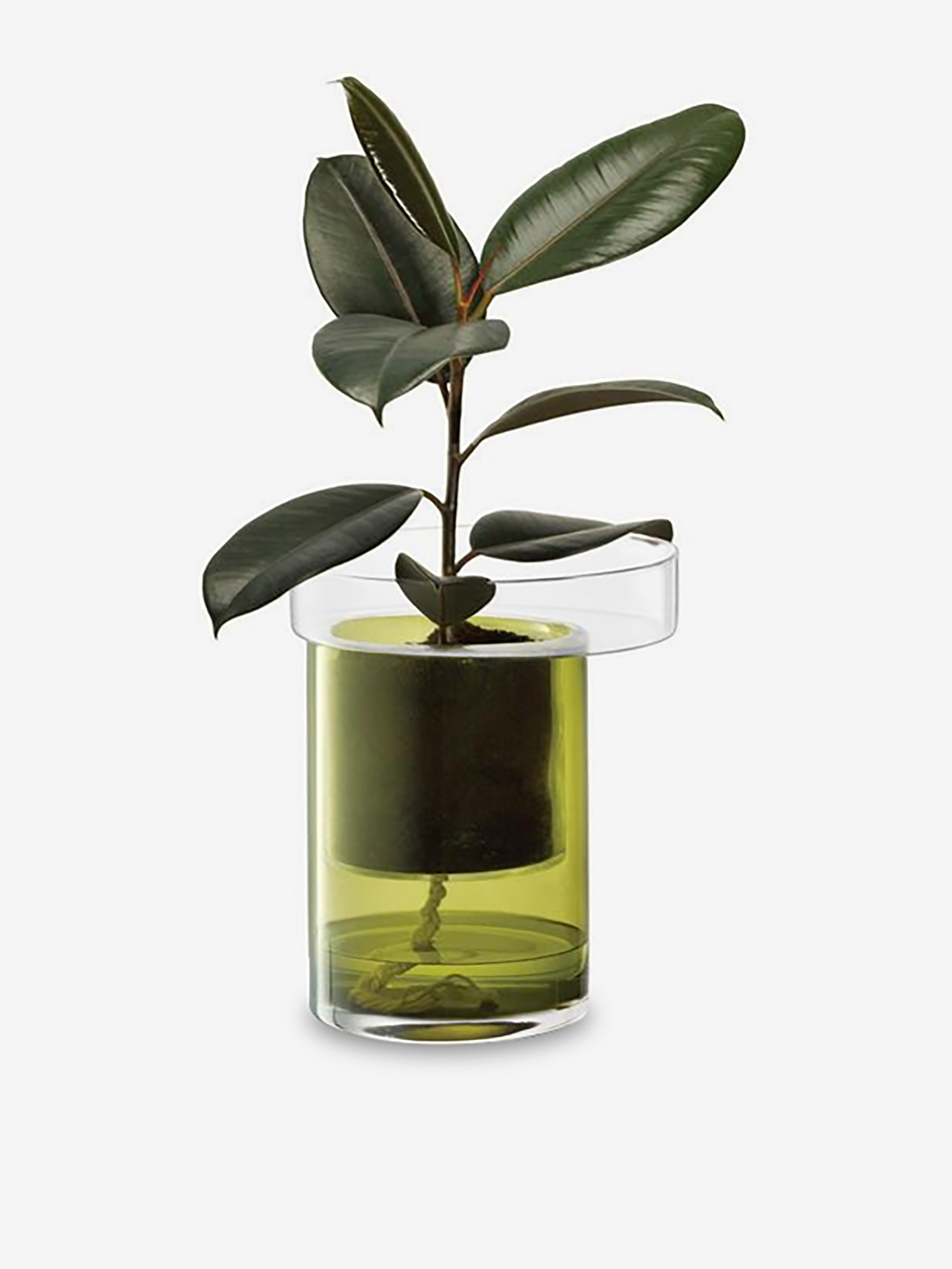 POT A PLANTE AVEC RESERVE D'EAU S VERRE ... Vert , Maison Bensimon