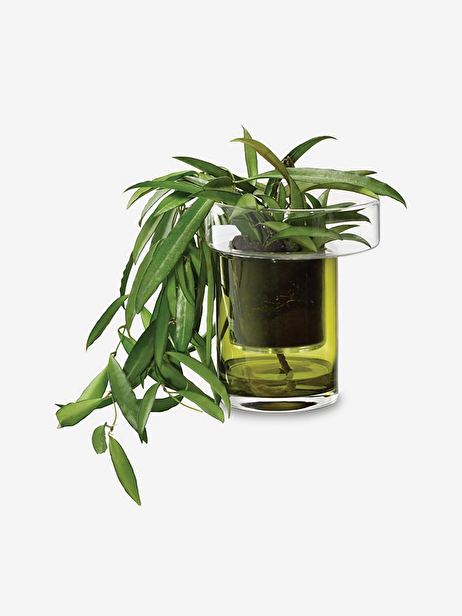 POT A PLANTE AVEC RESERVE D'EAU S VERRE ...  Vert , Maison Bensimon