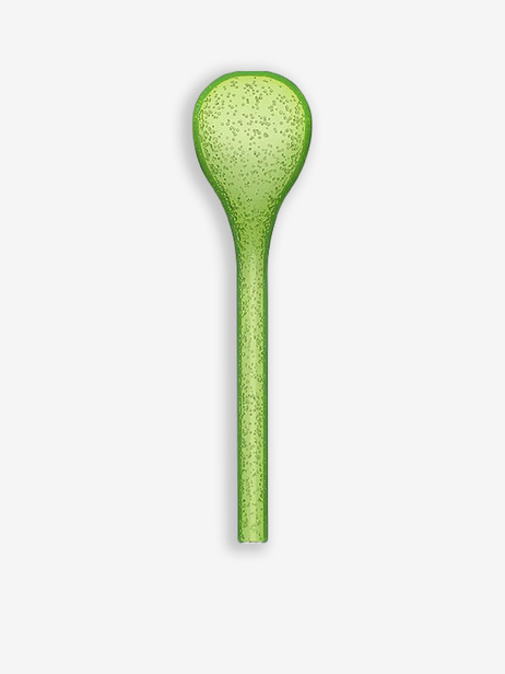COUVERT A SALADE LIME - ZANI SERAFINO  Vert , Maison Bensimon