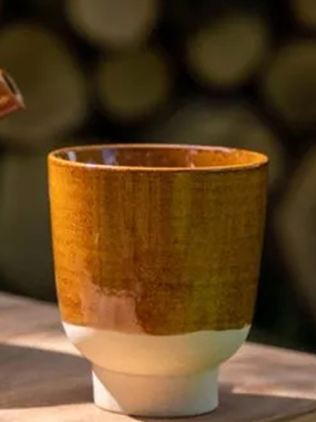 TASSE RUTUNDA T.M PUMPKIN - KINTA  Citrouille , Maison Bensimon
