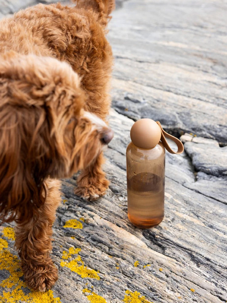 TURE WATER BOTTLE - SAGAFORMS  Marron , Maison Bensimon