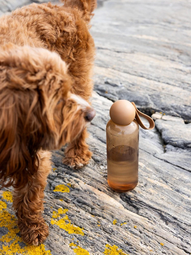 TURE WATER BOTTLE - SAGAFORMS Marron , Maison Bensimon